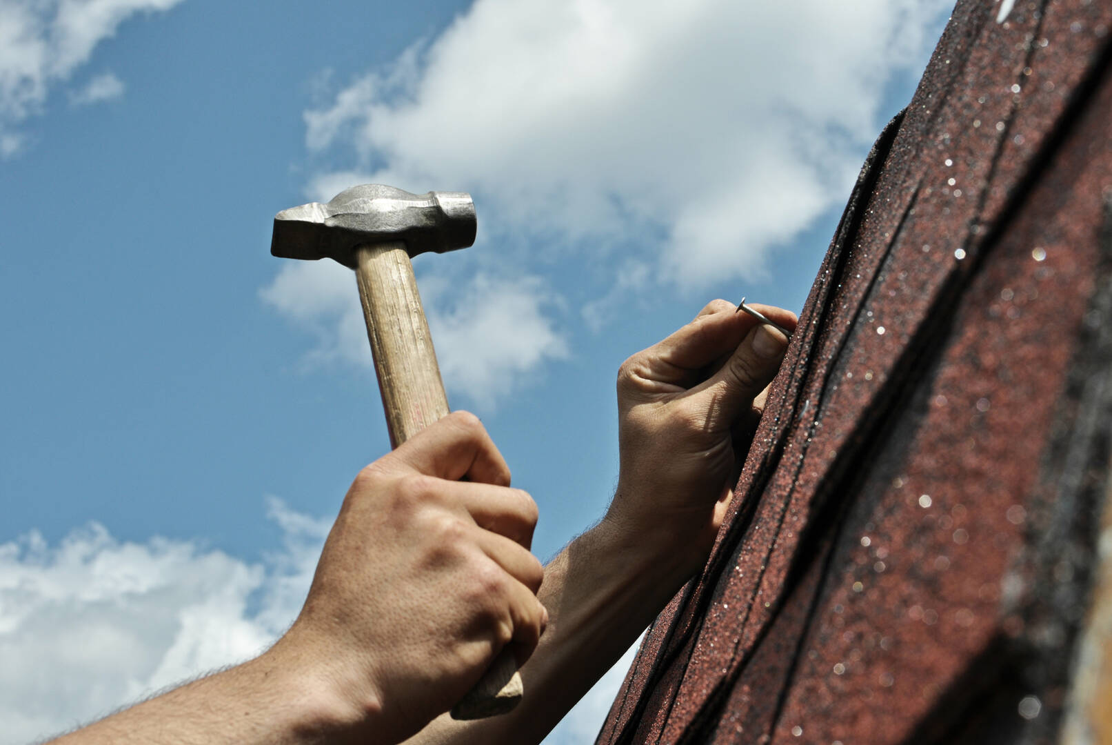 Alpha and Omega Roofing